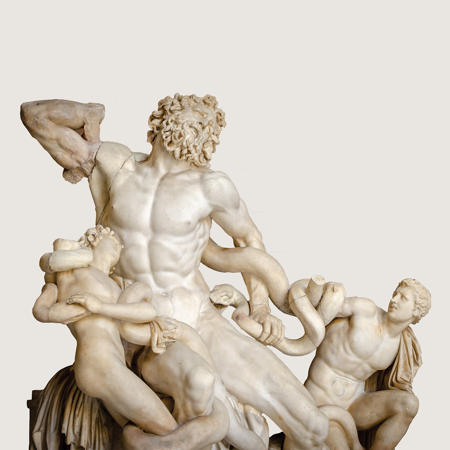 timothy's soma wireframe