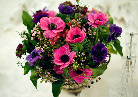 La Cuisine, Curly Ornament